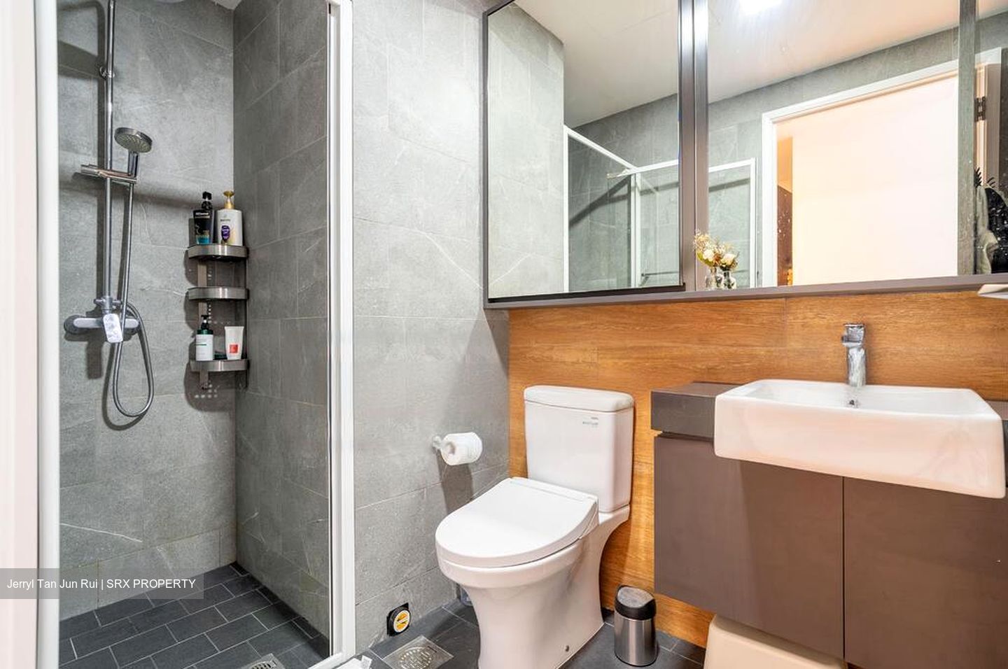 Rezi 24 (D14), Apartment #471691041
